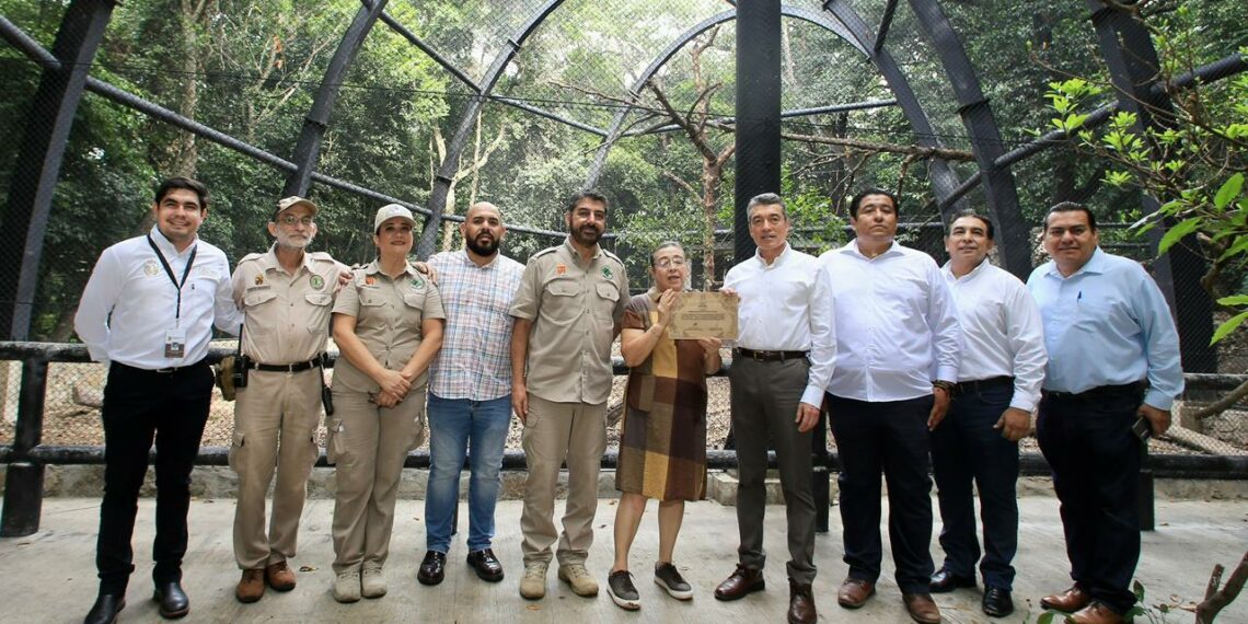 Inaugura Rutilio Escandón remodelación de los recintos del jaguar Yojk y de la nutria en el ZooMAT