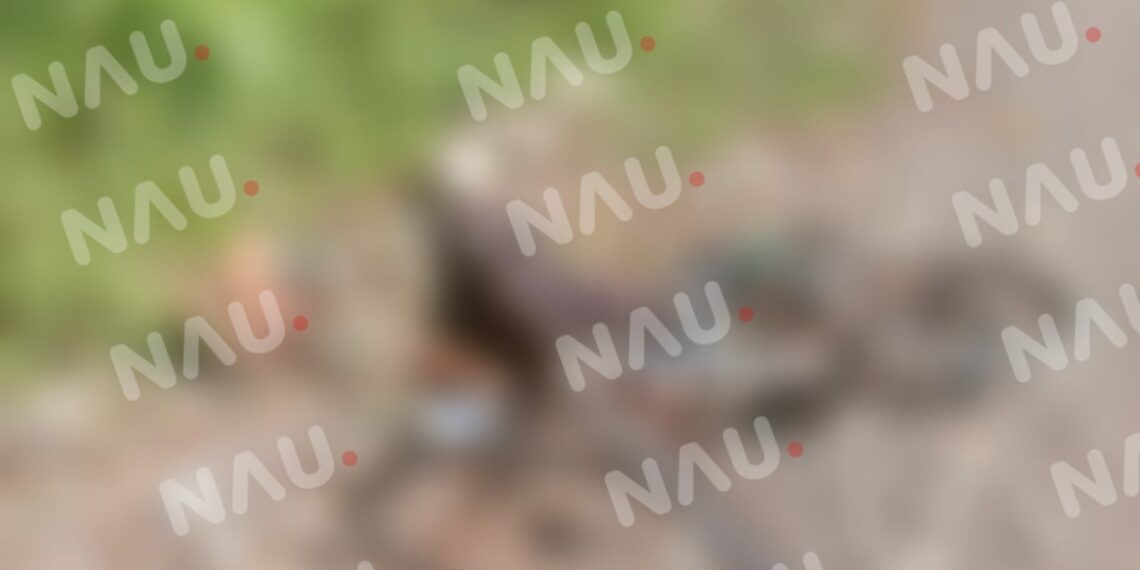 Persona de la tercera edad fallece mientras se dirigía a su trabajo en bicicleta en Mazatán.