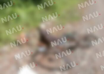 Persona de la tercera edad fallece mientras se dirigía a su trabajo en bicicleta en Mazatán.