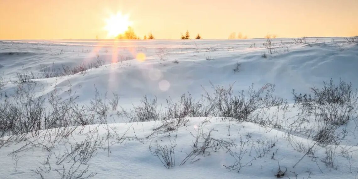 Nevada Histórica en el Desierto de Arabia Saudita: Un Fenómeno Climático Sorprendente Nevada Histórica en el Desierto de Arabia Saudita: Un Fenómeno Climático Sorprendente