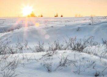 Nevada Histórica en el Desierto de Arabia Saudita: Un Fenómeno Climático Sorprendente Nevada Histórica en el Desierto de Arabia Saudita: Un Fenómeno Climático Sorprendente
