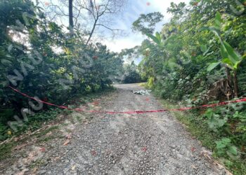 Lo quemaron tras machetear a su pareja