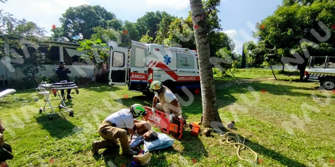 Protección Civil Brinda Atención a Hombre Tras Caída de Una Palmera