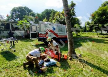 Protección Civil Brinda Atención a Hombre Tras Caída de Una Palmera