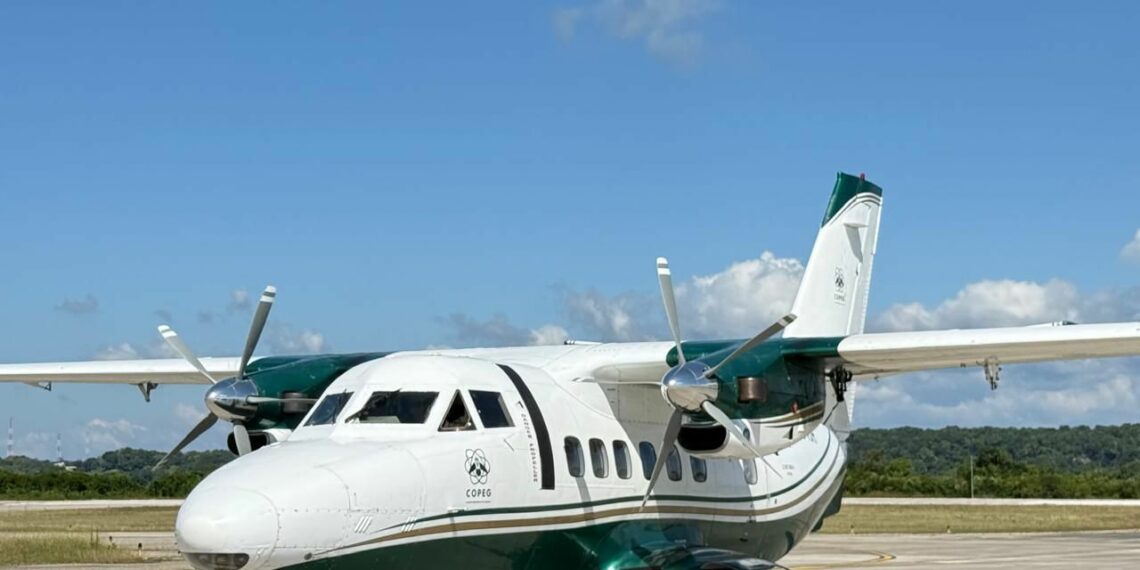 Chiapas activa medidas para proteger su ganadería ante gusano barrenador