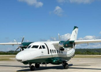 Chiapas activa medidas para proteger su ganadería ante gusano barrenador