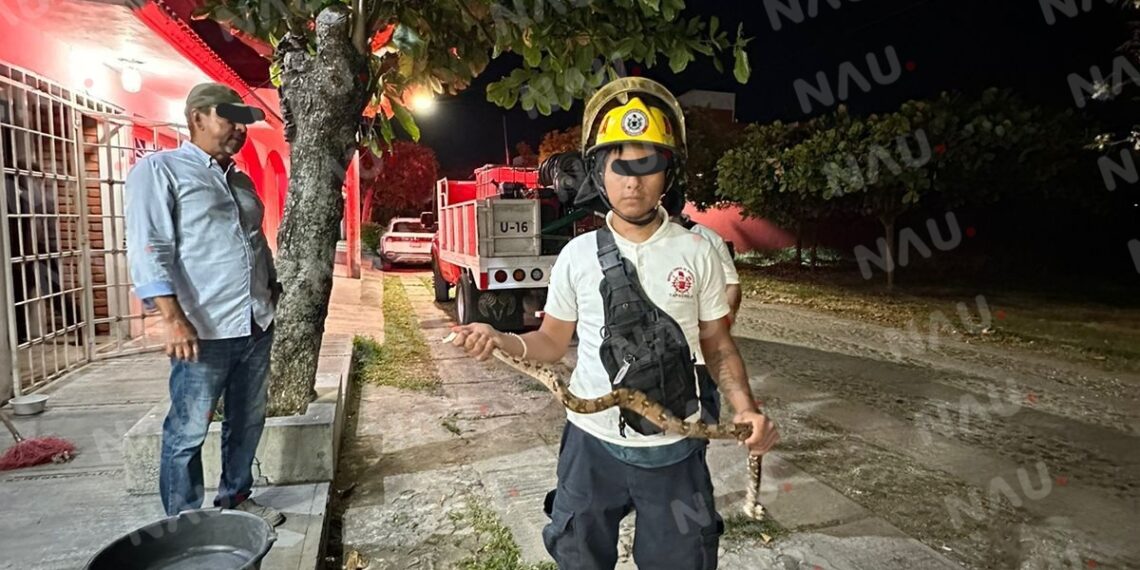 Capturan reptil en Residencial Las Vegas: intervención exitosa del cuerpo de Bomberos de Tapachula