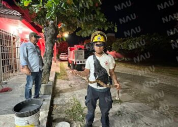 Capturan reptil en Residencial Las Vegas: intervención exitosa del cuerpo de Bomberos de Tapachula