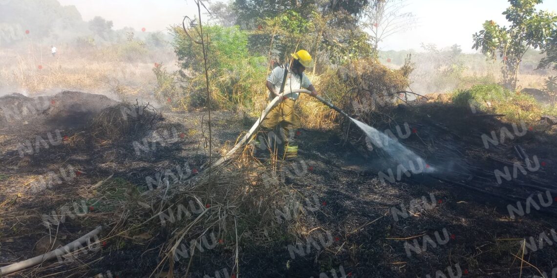 Atiende Protección Civil incendio de pastizal en Tapachula