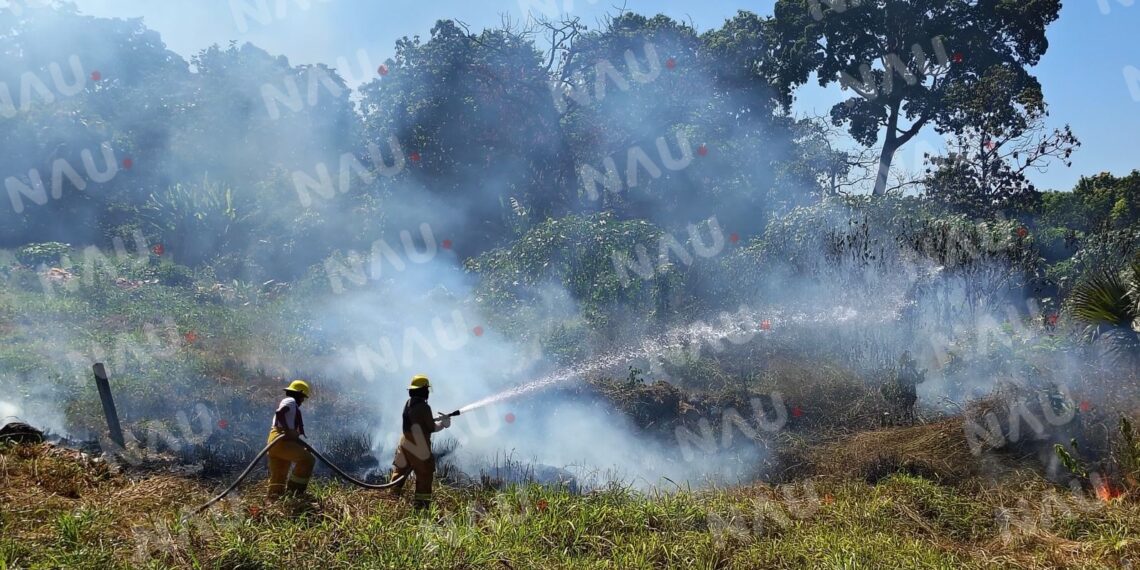 Incendios arrasan con más de 8 hectáreas en Tapachula