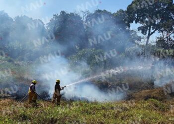 Incendios arrasan con más de 8 hectáreas en Tapachula