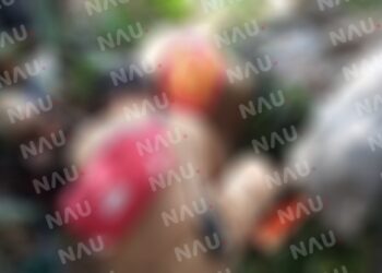 Atención Prehospitalaria en Tapachula: Protección Civil Brinda Auxilio a Mujer con Fractura