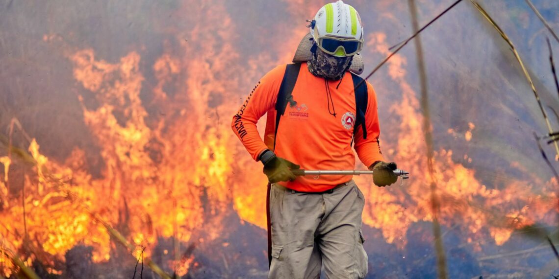 Registra Chiapas disminución de 96.19 % de incendios forestales, en comparación con 2024