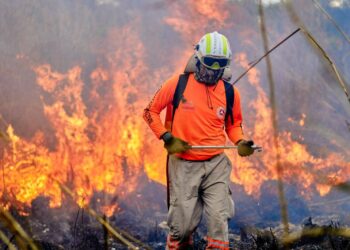 Registra Chiapas disminución de 96.19 % de incendios forestales, en comparación con 2024