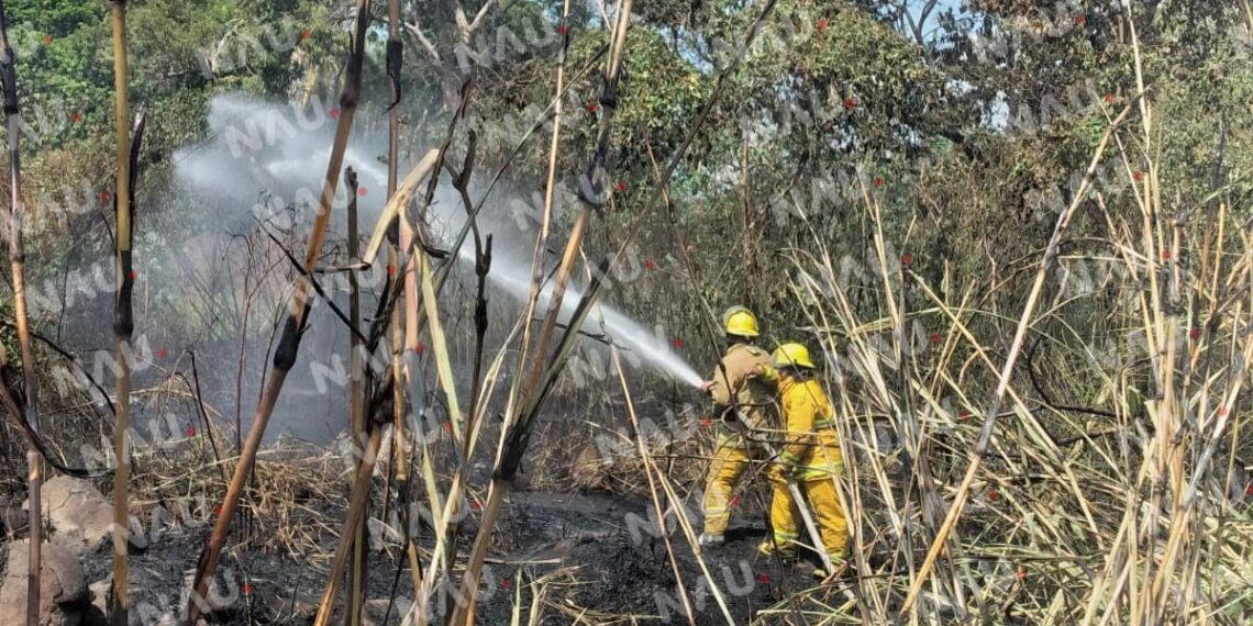 Protección Civil y Bomberos sofocan dos incendios de pastizales en Tapachula