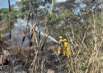 Protección Civil y Bomberos sofocan dos incendios de pastizales en Tapachula