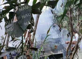 Incendio arrasa con una vivienda en Unión Juárez, Chiapas