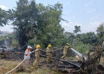 Bomberos y Protección Civil controlan incendio de pastizal en Cacahoatán