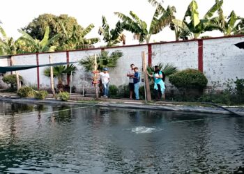 El Sector Acuícola en Tapachula, es escuchado