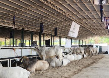 Expo Feria Tapachula 2025 y Exposición Ganadera reciben a estudiantes de la UNACH Huehuetán