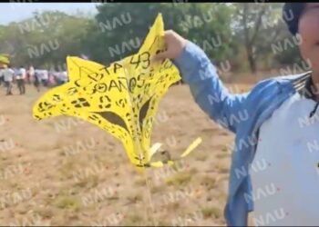 CEBTA 43 celebra 50 años con un creativo concurso de papalotes