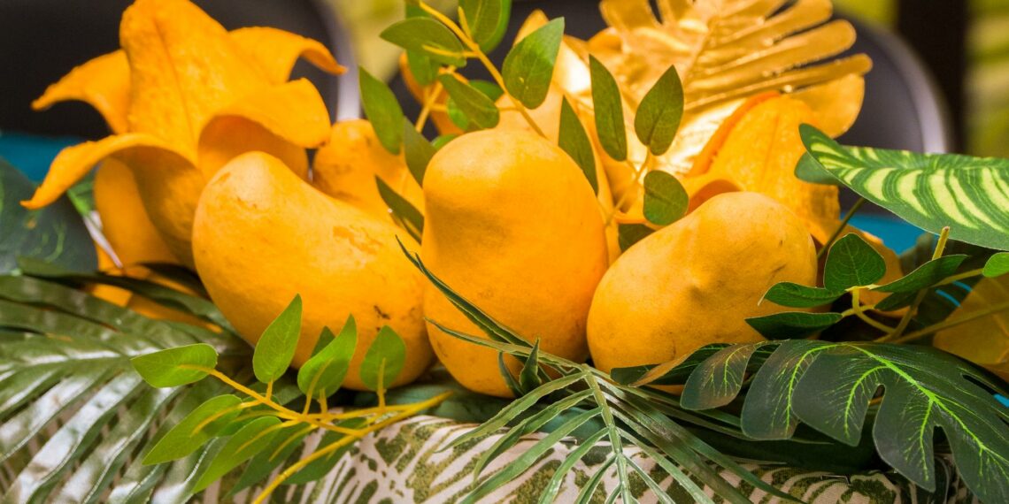 Ayuntamiento de Tapachula invita a participar en el 3er Festival Internacional del Mango Ataulfo del Soconusco