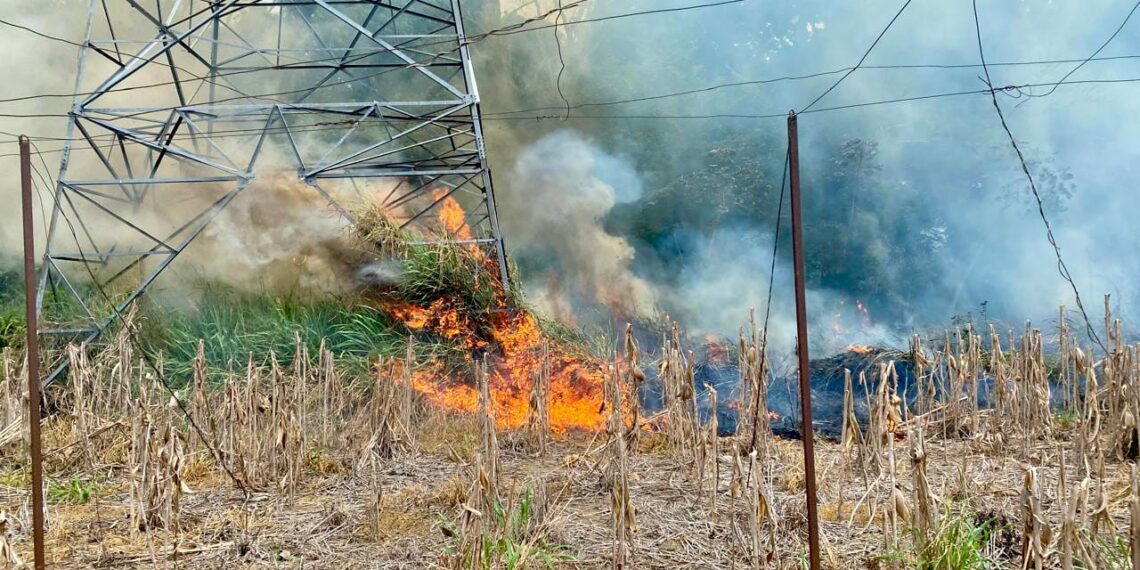 Llama Gobierno Municipal de Julio Gamboa a prevenir incendios forestales en temporada de estiaje