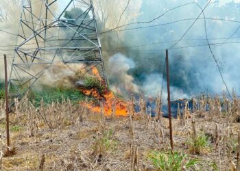Llama Gobierno Municipal de Julio Gamboa a prevenir incendios forestales en temporada de estiaje