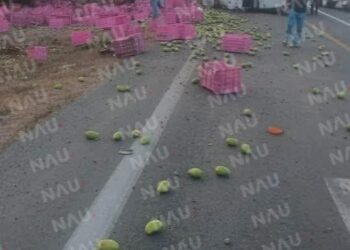Vuelca tráiler con carga de mango en la carretera Tonalá – Arriaga