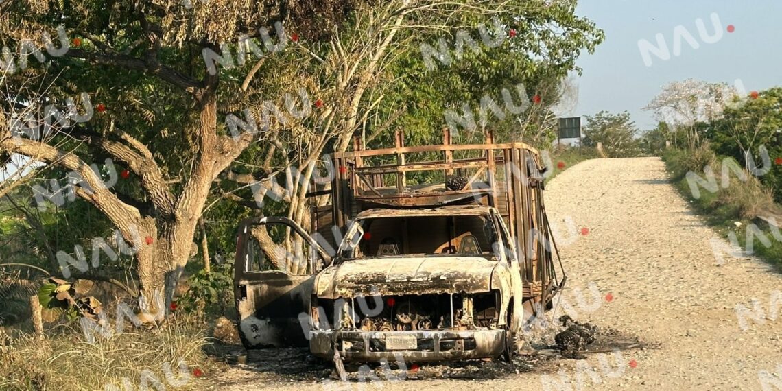 Camión cargado de palma africana se incendia en el Puente Madre Vieja