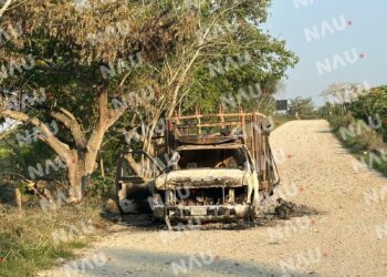 Camión cargado de palma africana se incendia en el Puente Madre Vieja