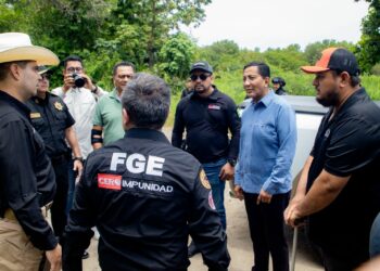Autoridades refuerzan vigilancia en manglares de la frontera sur