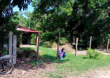 Privan de la libertad a dos hombres en Mazatán; hallan motocicleta abandonada y casquillo en la escena