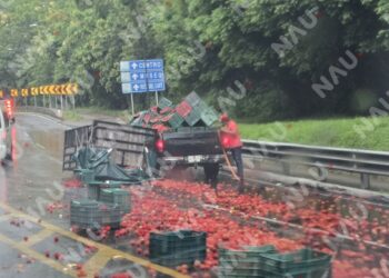 Rejas de rambután caen de camioneta y obstruyen la carretera en Tuxtla Chico
