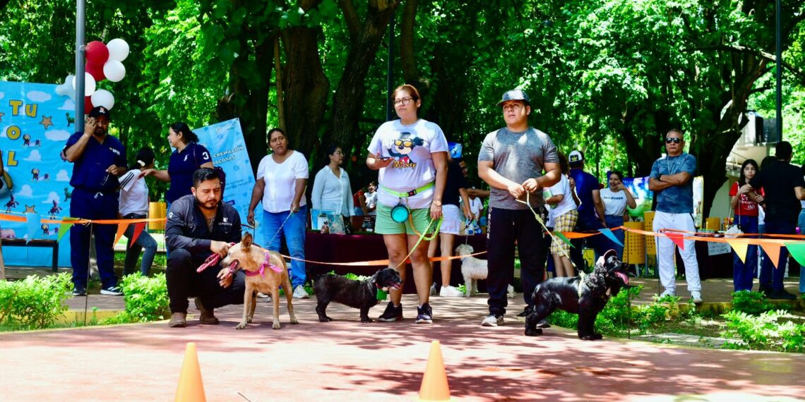 En Tapachula promovemos el cuidado y bienestar animal: Yamil Melgar