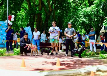 En Tapachula promovemos el cuidado y bienestar animal: Yamil Melgar