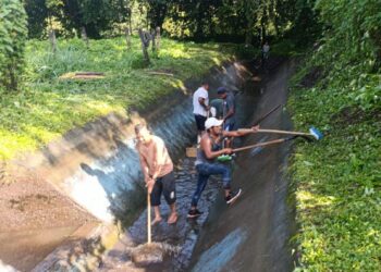 Gobierno de Tuxtla Chico y SAPAM efectúan la limpieza en talud en Rosario Izapa