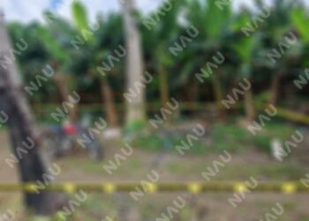 Hallan sin vida a hombre en una parcela de Tuzantán; investigan posible descarga eléctrica