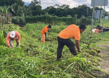 Gobierno de Tuxtla Chico refuerza labores de desazolve y prevención en los kilómetros 10, 8.5 y 4