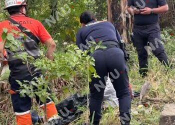 Confunden a dormilón con embolsado en la Costera