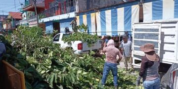 Ayuntamiento de Tapachula, realiza acciones preventivas en Primaria Antonio D´Amiano Cajas