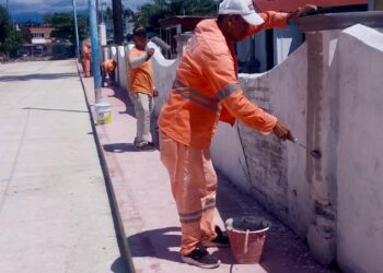 Gobierno de Tuxtla Chico combate de forma frontal las enfermedades transmitidas por vectores