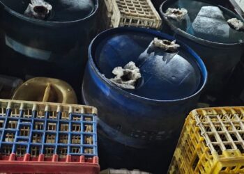 Tuxtla Gutiérrez, Chiapas, 14 de octubre de 2025