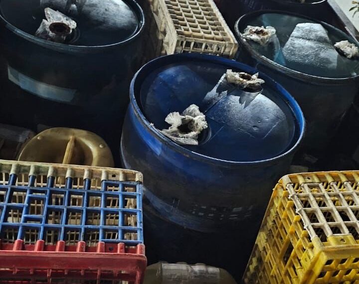 Tuxtla Gutiérrez, Chiapas, 14 de octubre de 2025