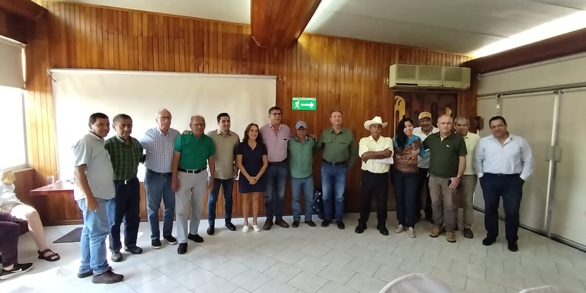 Ayuntamiento de Tapachula participa en reunión de coordinación previa al 4º Festival Internacional del Mango Ataulfo del Soconusco