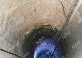 Bomberos rescatan a gatito que cayó a un pozo en la colonia Palmeiras, en Tapachula