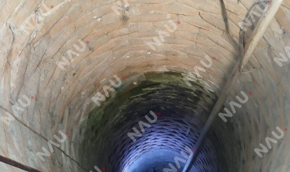 Bomberos rescatan a gatito que cayó a un pozo en la colonia Palmeiras, en Tapachula