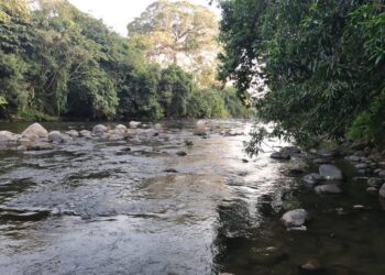 Autoridades descartan versiones publicadas en redes sociales y confirman investigación por cuerpo localizado en el río Cahoacán