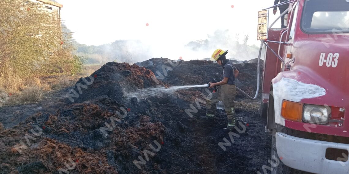 Bomberos y Marina atienden incendio de pastizal en la colonia El Encanto