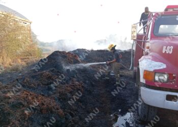 Bomberos y Marina atienden incendio de pastizal en la colonia El Encanto